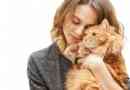 10 Signes que mon chat m'aime