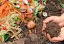 Comment le compost aide les plantes à pousser