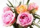 Comment faire durer un bouquet de roses plus longtemps