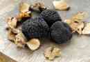 Comment conserver les truffes