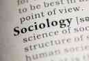 Quelles sont les principales branches de la sociologie?