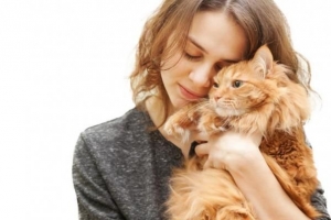 10 Signes que mon chat m'aime