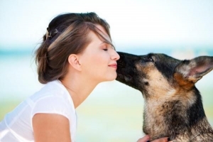 10 Signes que mon chien m'aime