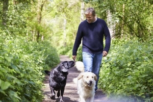 Combien de fois par jour devriez-vous promener un chien