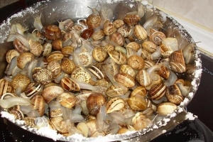 Comment nettoyer et cuire les escargots