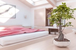 Comment décorer une chambre dans le style feng shui