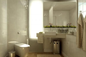 Comment décorer votre salle de bain style feng shui