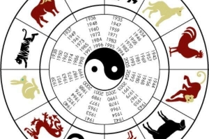 Comment connaître mon signe du zodiaque chinois par date de naissance