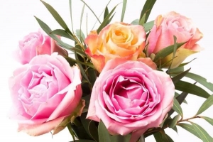 Comment faire durer un bouquet de roses plus longtemps