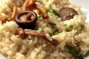 Comment faire un risotto aux champignons portobello