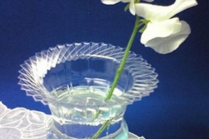 Comment faire un vase en utilisant une bouteille en plastique