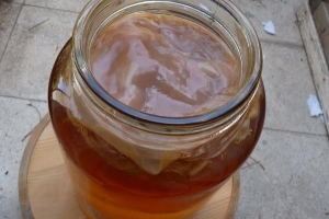 Comment faire du thé kombucha à la maison