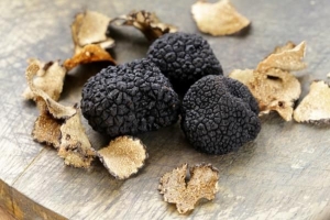 Comment conserver les truffes