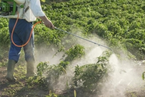 Comment réduire les pesticides dans les fruits et légumes