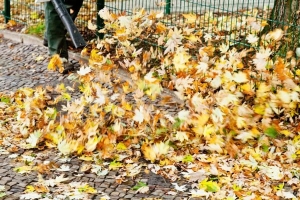 Comment utiliser un aspirateur comme souffleur de feuilles