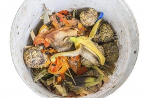 Les meilleurs déchets alimentaires pour le compost