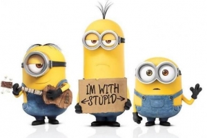 Quels sont tous les noms de minions