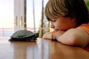 Quels sont les meilleurs animaux de compagnie pour les enfants asthmatiques