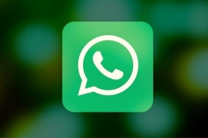 L'image du profil whatsapp ne s'affiche pas