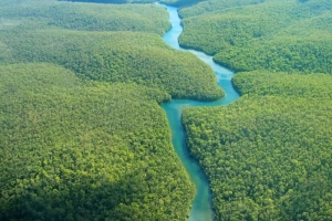 Pourquoi certaines rivières coulent-elles plus vite que d'autres